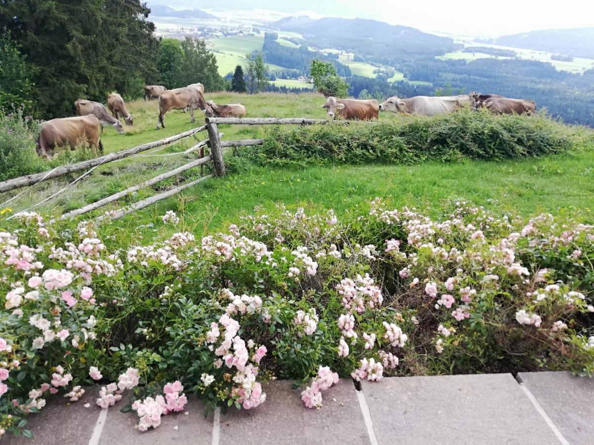 Ferienhaus Hochfelner Sankt Marein bei Knittelfeld Buitenkant foto