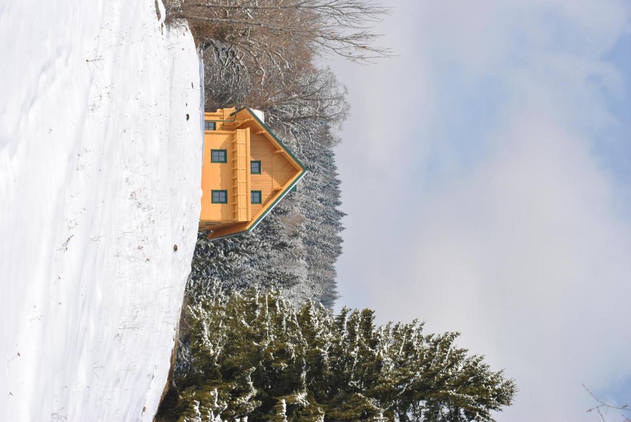 Ferienhaus Hochfelner Sankt Marein bei Knittelfeld Buitenkant foto